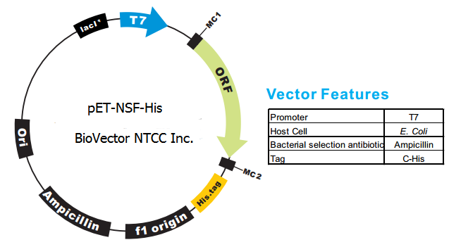 sensitive factor -biovector ntcc质粒载体菌种细胞基因保藏中心