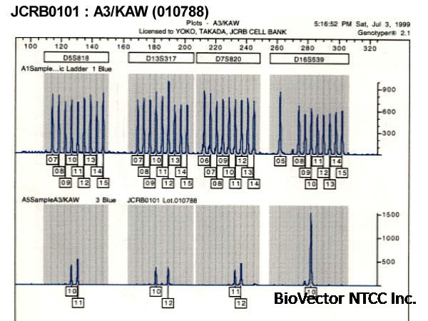 JCRB0101:A3/KAW