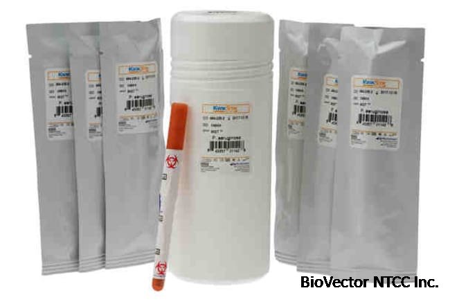 Microbiologics Pseudomonas aeruginosa NCTC 10662 KWIK-STIK; 6/Pk.:Research | Fisher Scientific