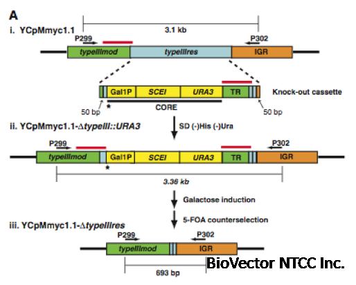 Genome Reboot Review